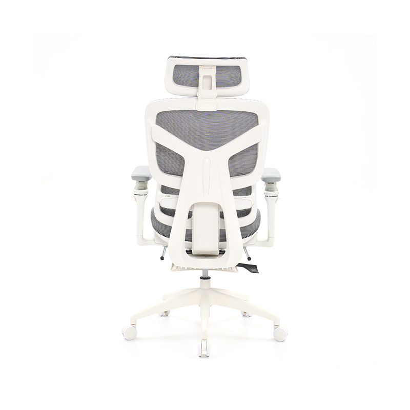 Ergonomic Office Chair with 3D Armrests Dynamic Lumbar Support