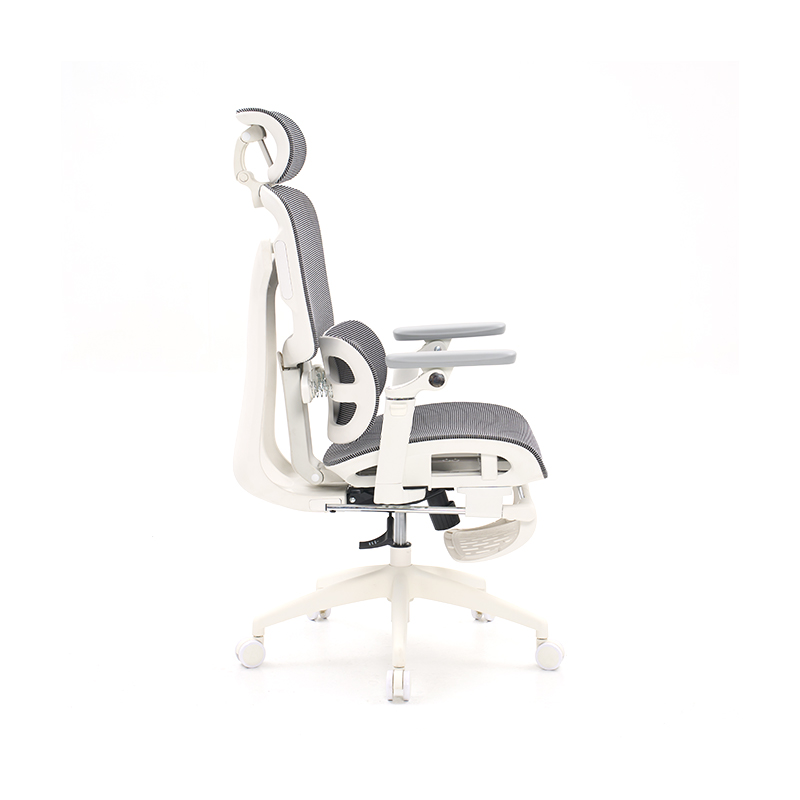 Ergonomic Office Chair with 3D Armrests Dynamic Lumbar Support