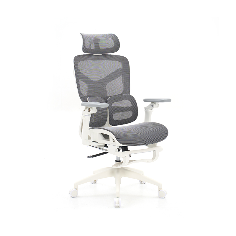 Ergonomic Office Chair with 3D Armrests Dynamic Lumbar Support