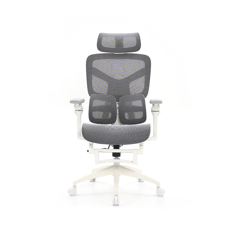Ergonomic Office Chair with 3D Armrests Dynamic Lumbar Support