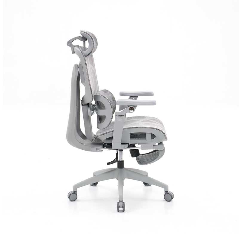 Ergonomic Office Chair with 3D Armrests Dynamic Lumbar Support
