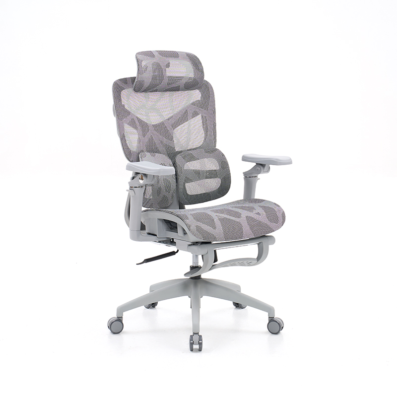 Ergonomic Office Chair with 3D Armrests Dynamic Lumbar Support