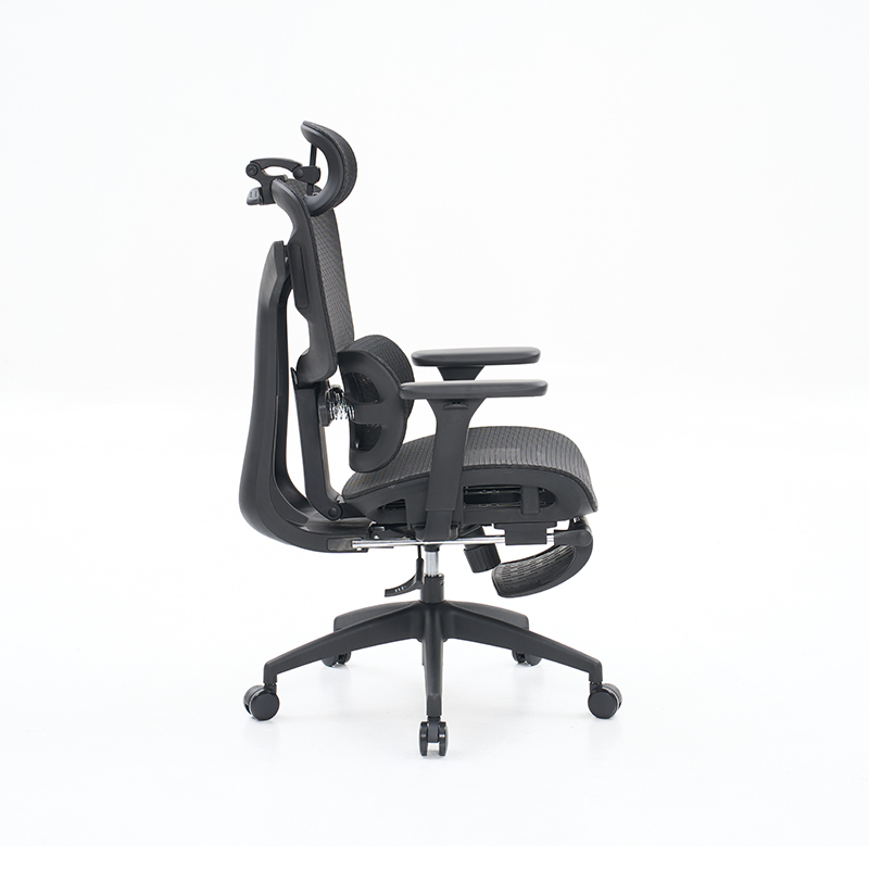 Ergonomic Office Chair with 3D Armrests Dynamic Lumbar Support