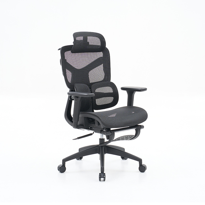 Ergonomic Office Chair with 3D Armrests Dynamic Lumbar Support